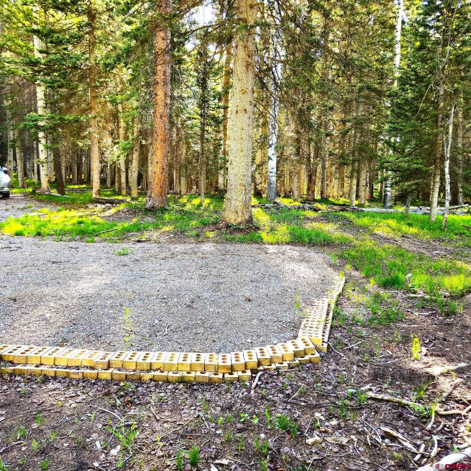 505 Wildflower Drive Cimarron, CO 81220 - Photo 17 of 35 a view of a backyard with large trees
