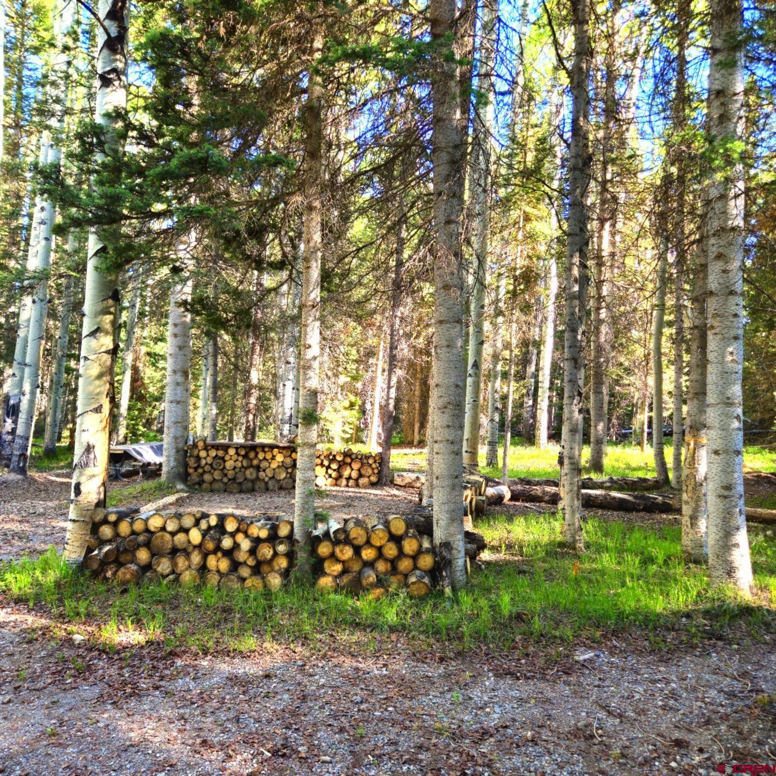 505 Wildflower Drive Cimarron, CO 81220 - Photo 24 of 35 a view of a yard with large trees