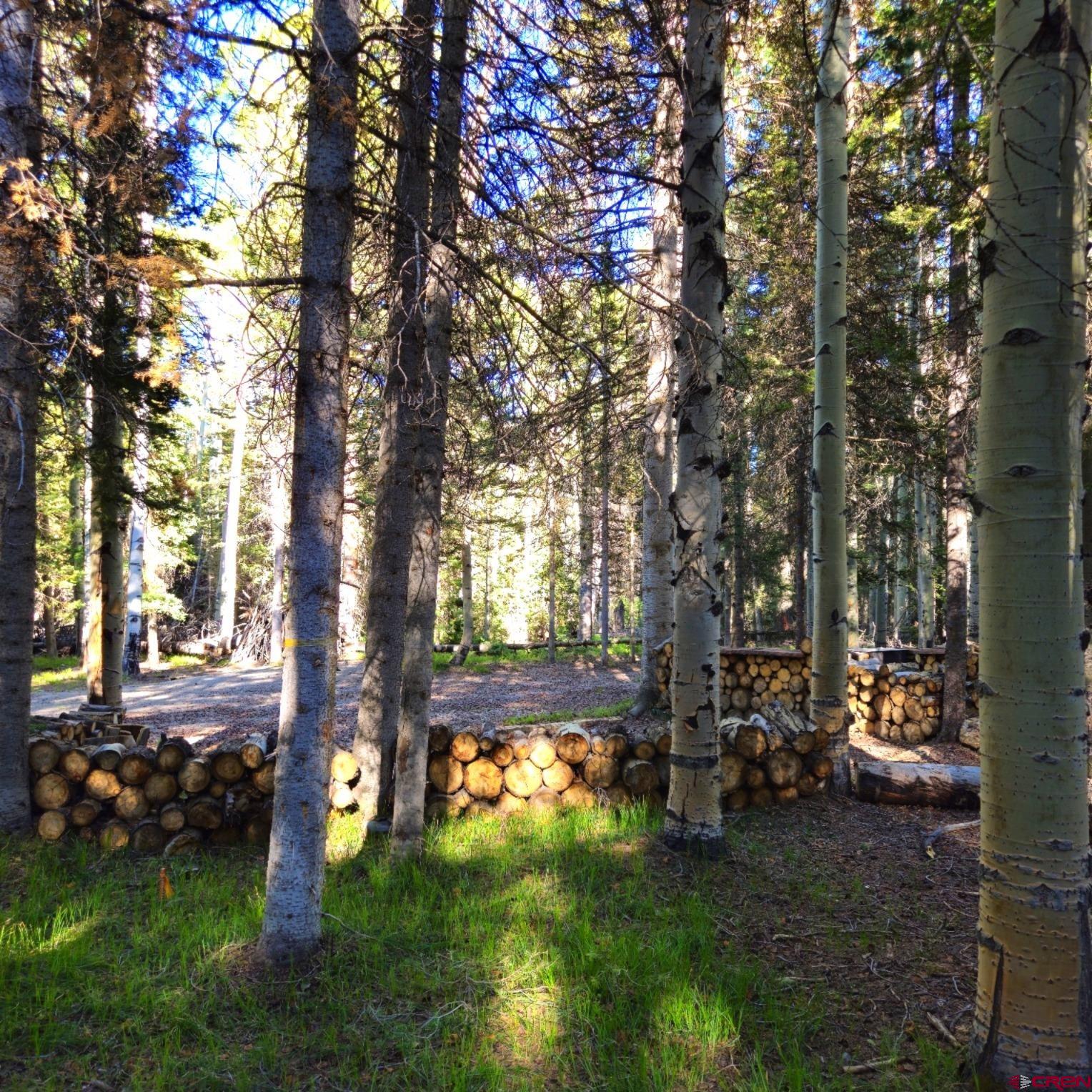505 Wildflower Drive Cimarron, CO 81220 - Photo 25 of 35 a view of yard with tree