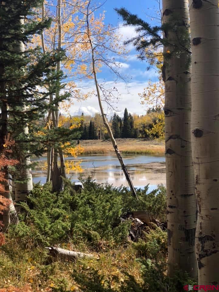 505 Wildflower Drive Cimarron, CO 81220 - Photo 29 of 35 a view of a pathway with a yard