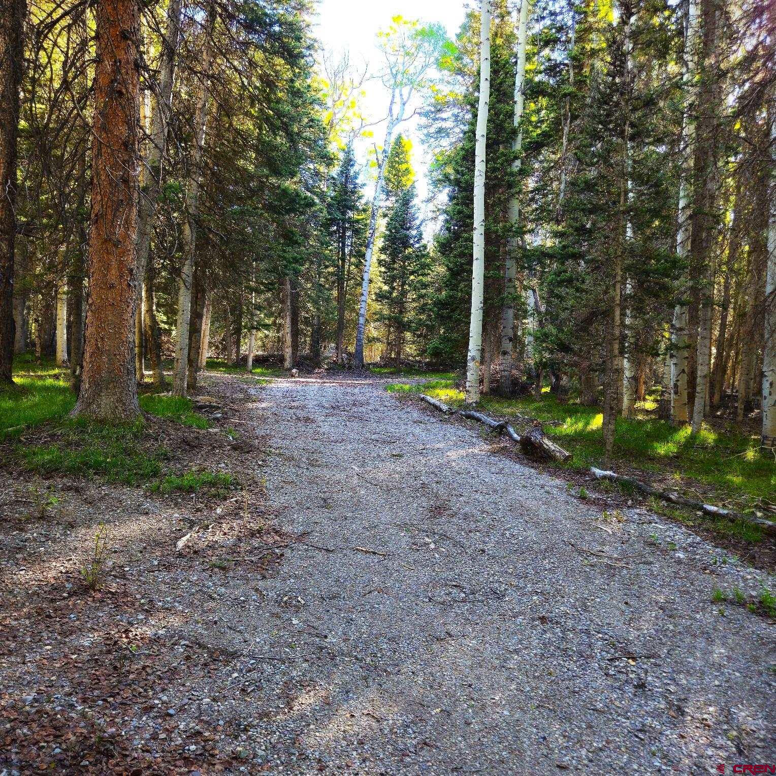 505 Wildflower Drive Cimarron, CO 81220 - Photo 3 of 35 a view of a out door space area
