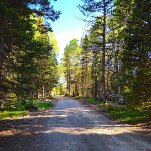 $49,000 | 505 Wildflower Drive, Cimarron, CO 81220