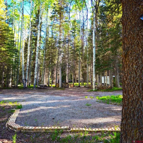 $49,000 | 505 Wildflower Drive, Cimarron, CO 81220