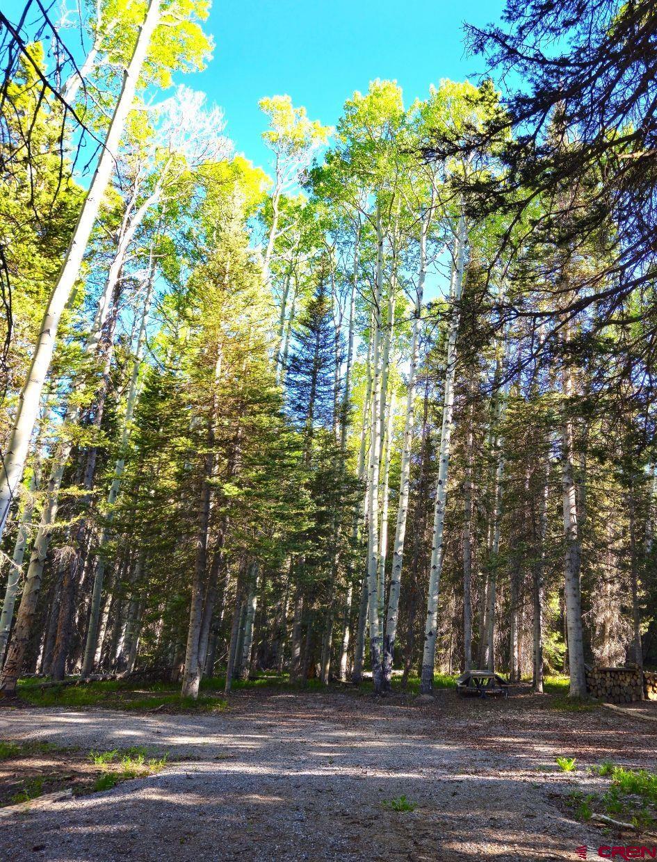 505 Wildflower Drive Cimarron, CO 81220 - Photo 4 of 35 a view of outdoor space
