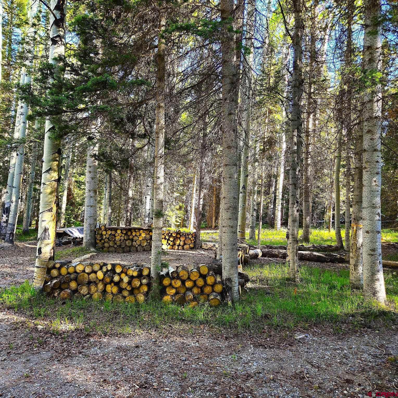505 Wildflower Drive Cimarron, CO 81220 - Photo 5 of 35 a view of a park with large trees