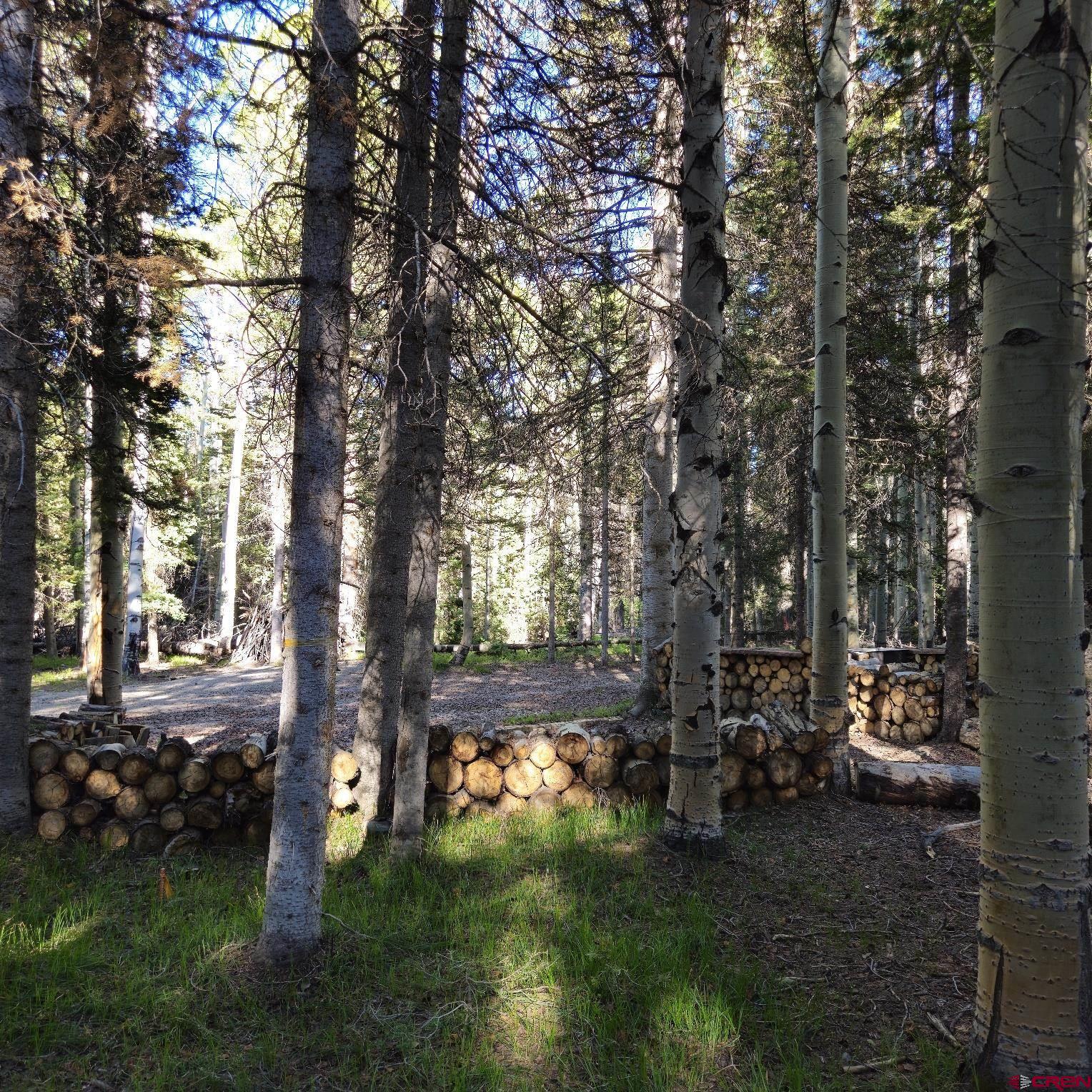 505 Wildflower Drive Cimarron, CO 81220 - Photo 9 of 35 a view of yard with tree