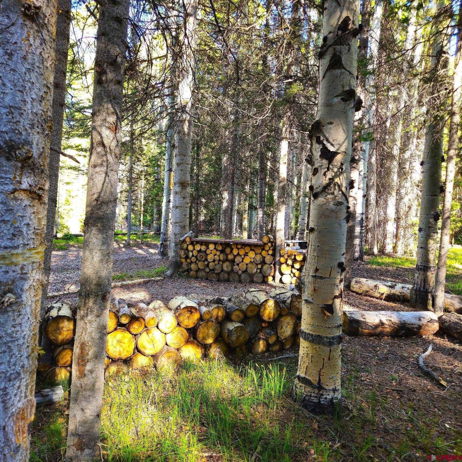 505 Wildflower Drive Cimarron, CO 81220 - Photo 10 of 35