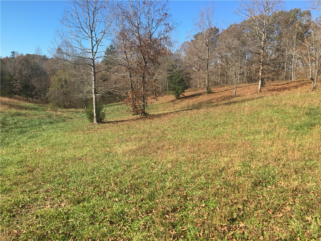 Lot 20 Lariat Loop Union Seneca, SC 29672 - Photo 3 of 9 Lot 20