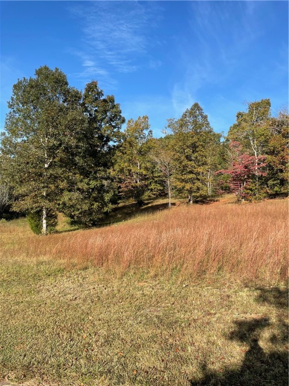 Lot 20 Lariat Loop Union Seneca, SC 29672 - Photo 8 of 9 Gallery Image 8