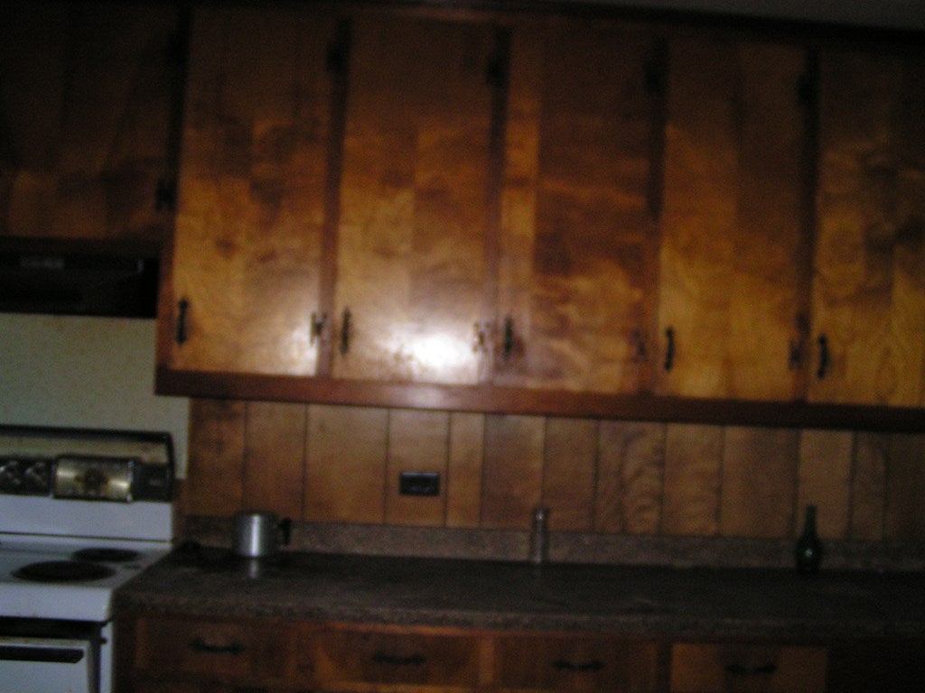 136 North Garland Road McKenzie, AL 36456 - Photo 8 of 16 Gallery Image 8