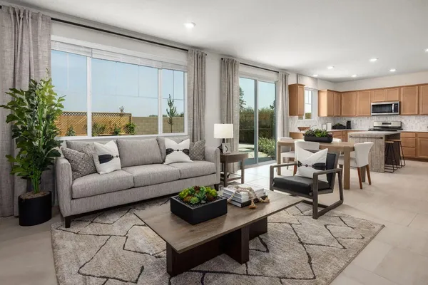 a living room with furniture potted plant and a large window