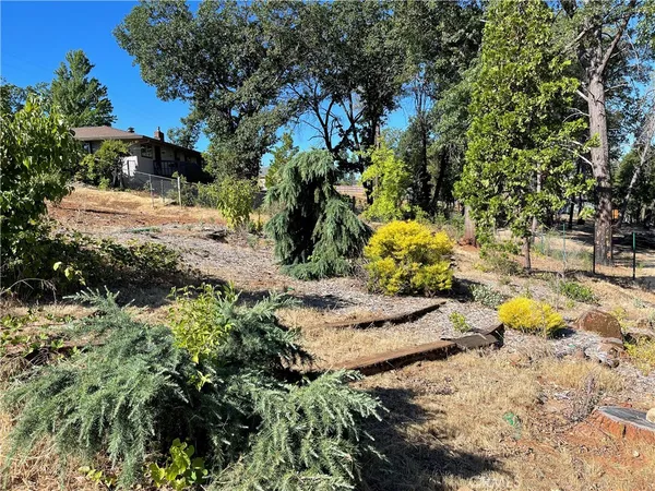 a view of a garden with a tree