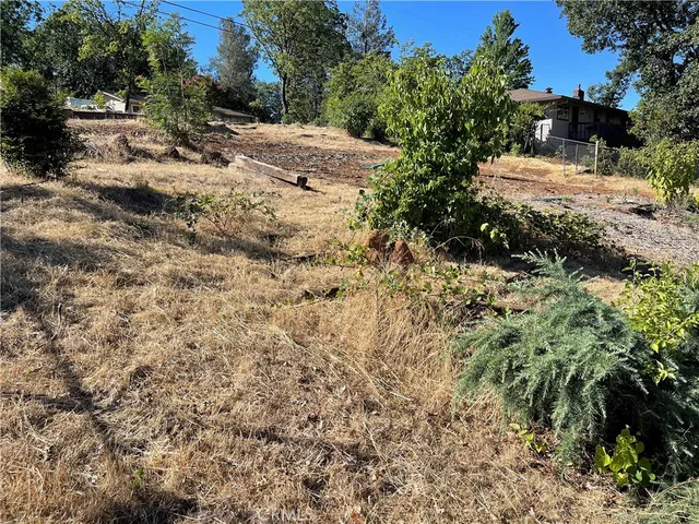 a view of a yard with plants and trees