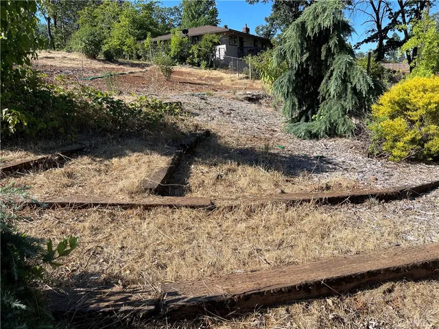 a view of a yard with plants and a lake view