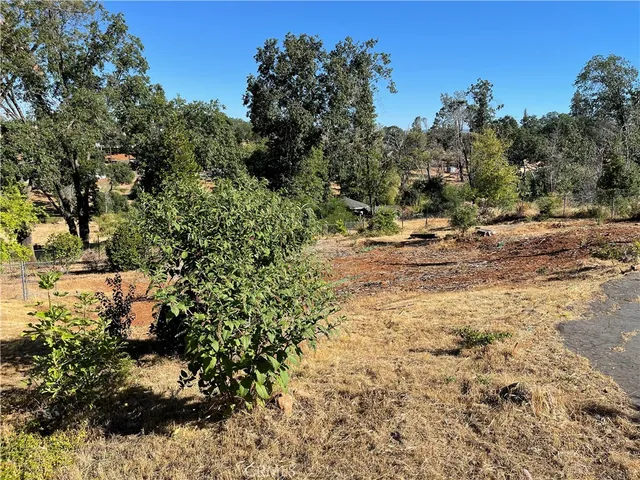 a view of a yard with a tree