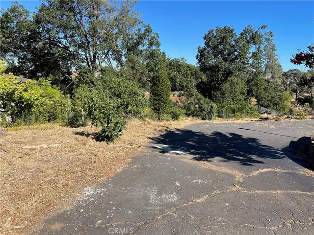 a backyard of a house with a yard and large tree
