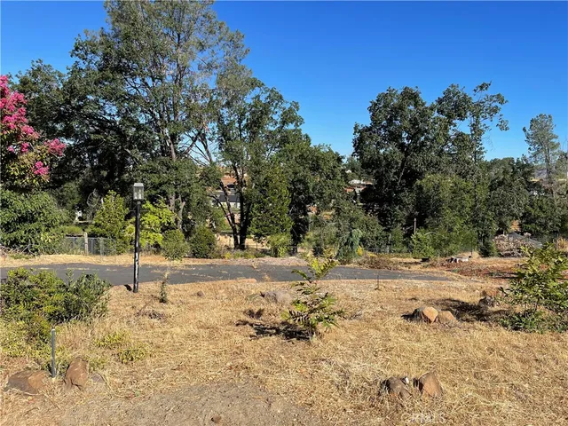 a view of a yard with plants and trees