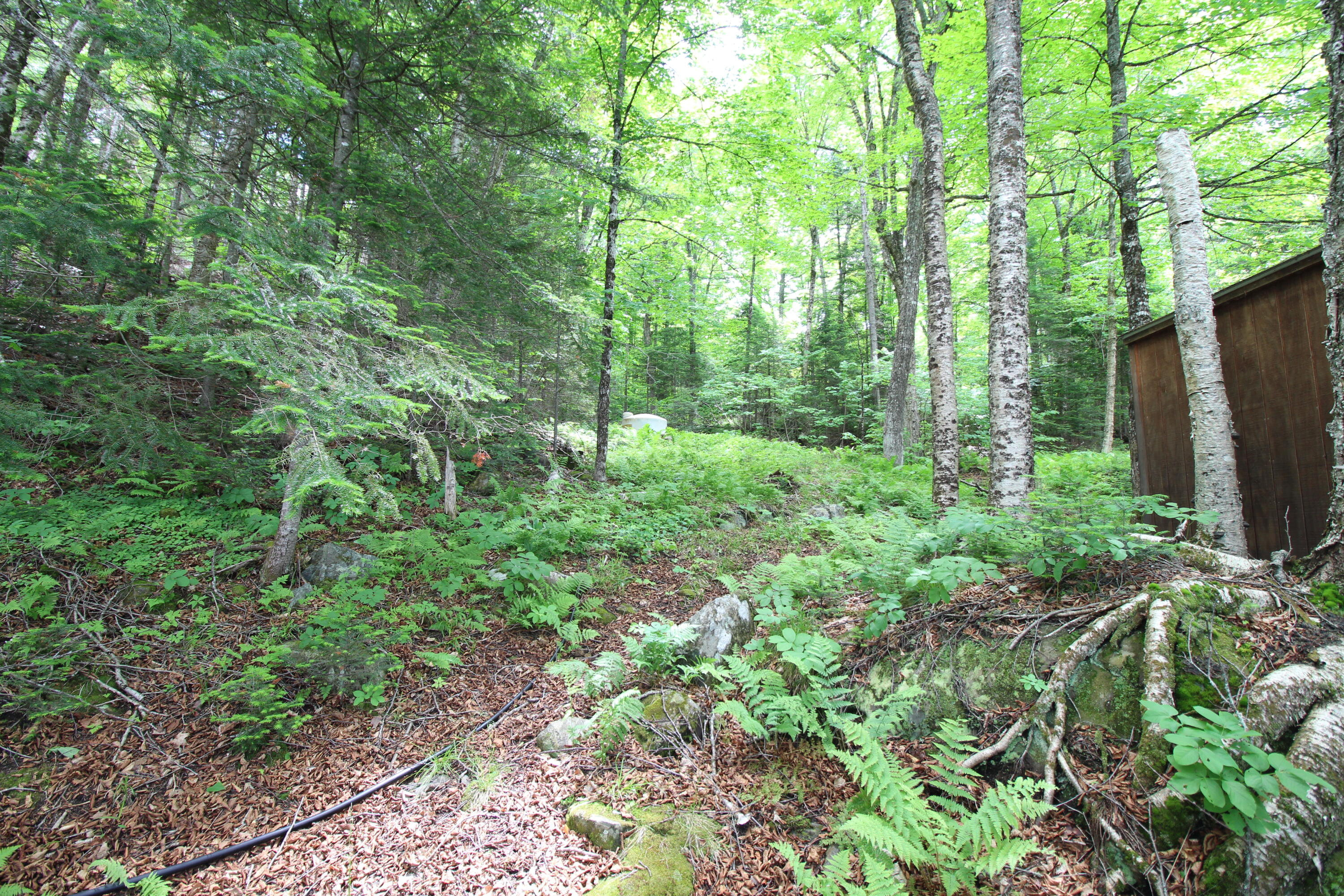 Lot 16.1 Alca Heights Road Oquossoc, ME 04964 - Photo 33 of 48 IMG_5815