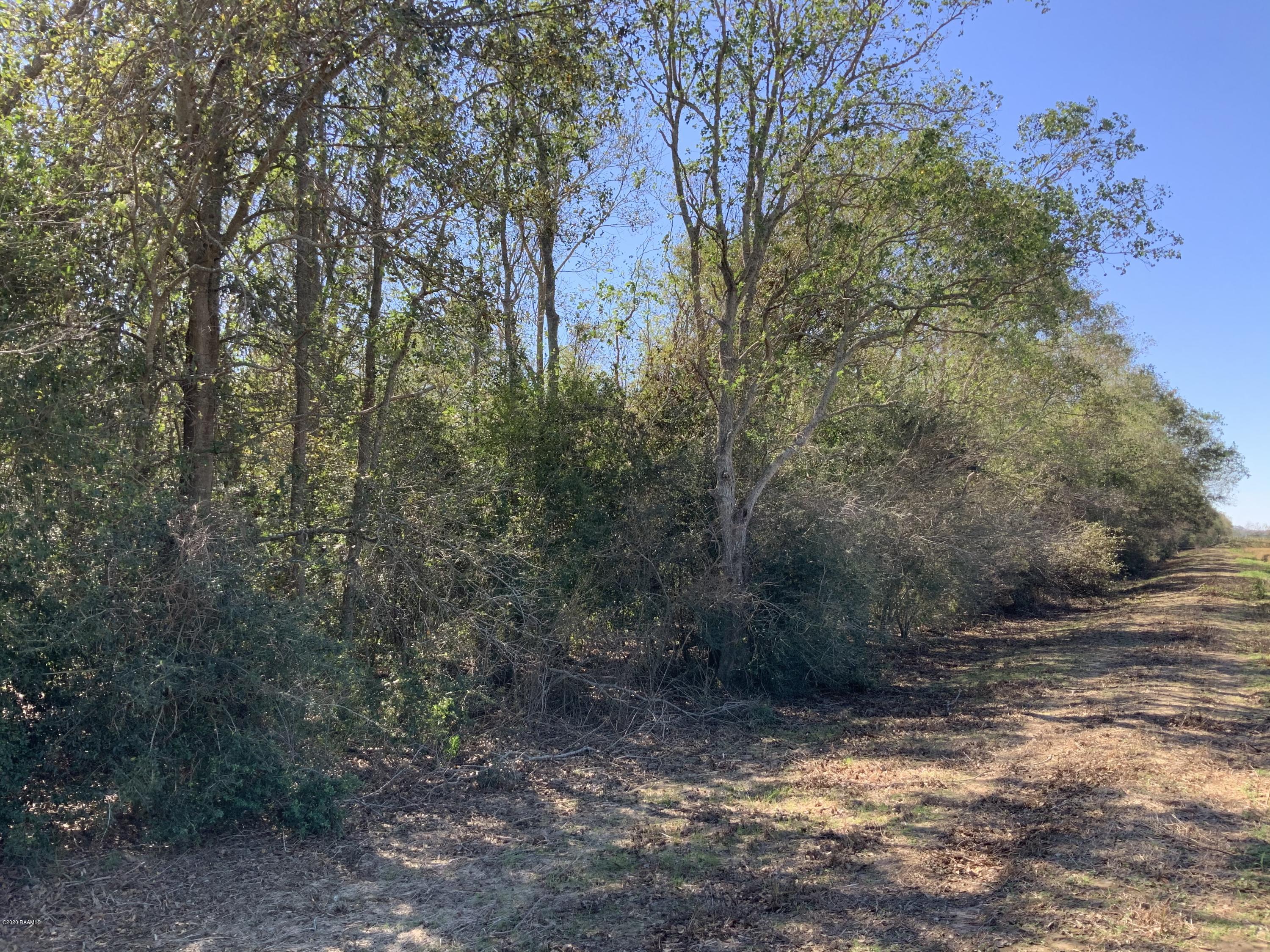 Tbd Harmon Road Crowley, LA 70526 - Photo 3 of 4 7CB9573C-F6B7-4130-95EA-CBD3F388C71E