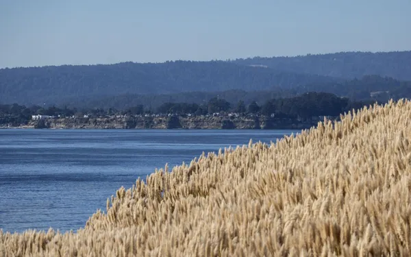 a view of mountains and mountain