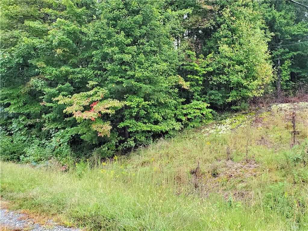 0 Lee Road Thomasville, NC 27360 - Photo 1 of 4 Gallery Image 1