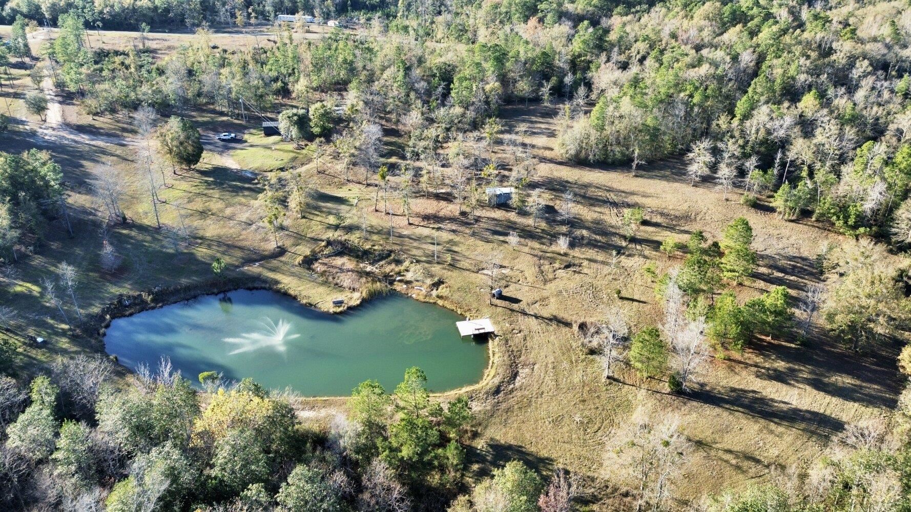 12340 Tall Pine Road Bay Minette, AL 36507 - Photo 6 of 50