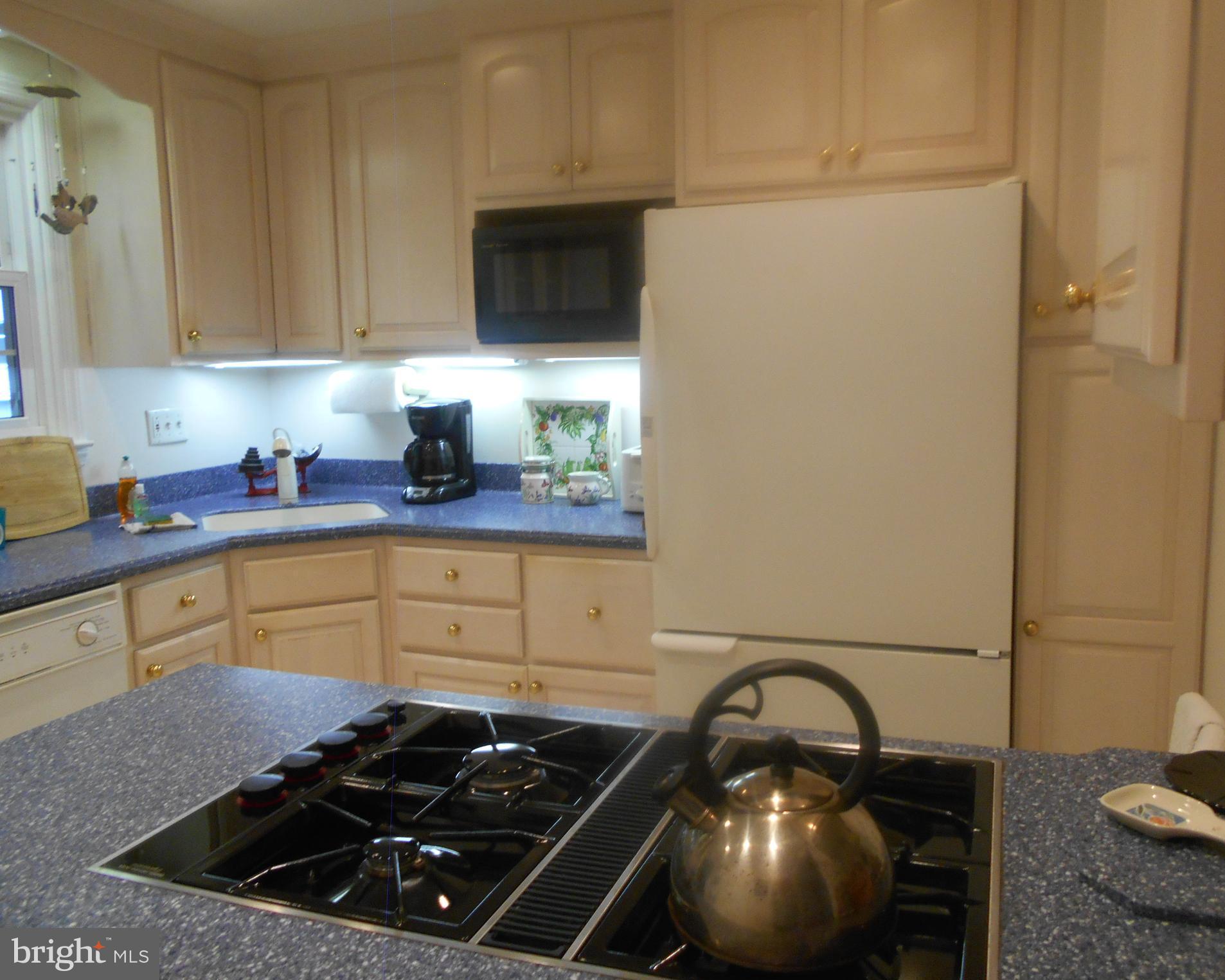 552 West Rolling Road Springfield, PA 19064 - Photo 4 of 20