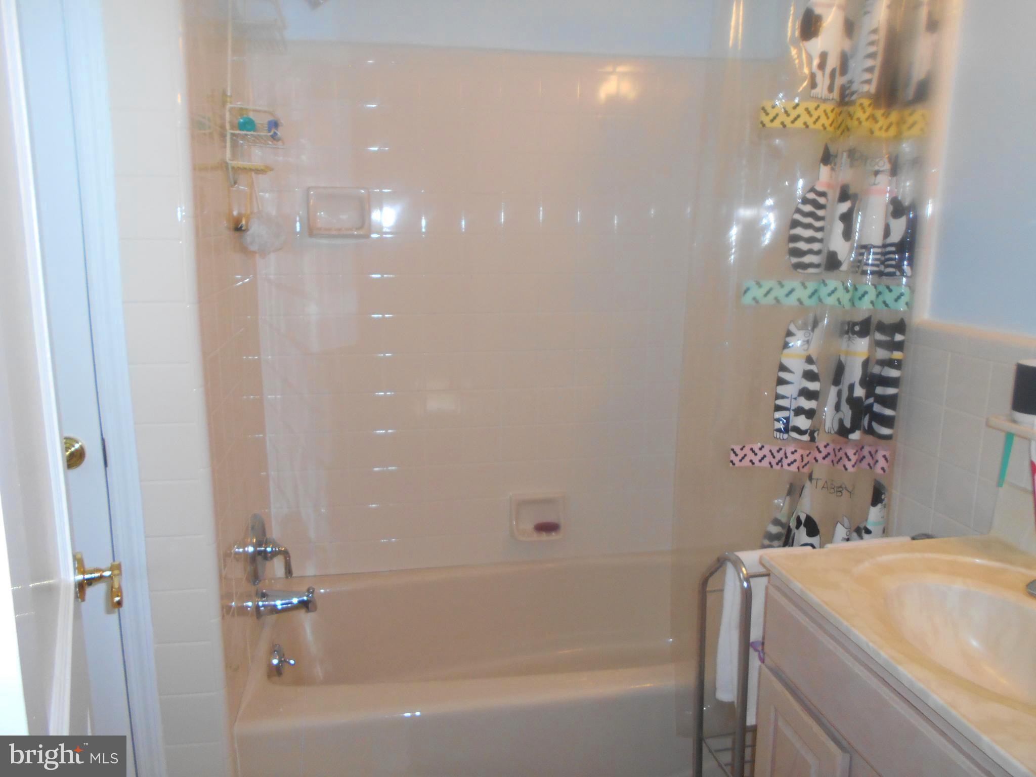 552 West Rolling Road Springfield, PA 19064 - Photo 10 of 20