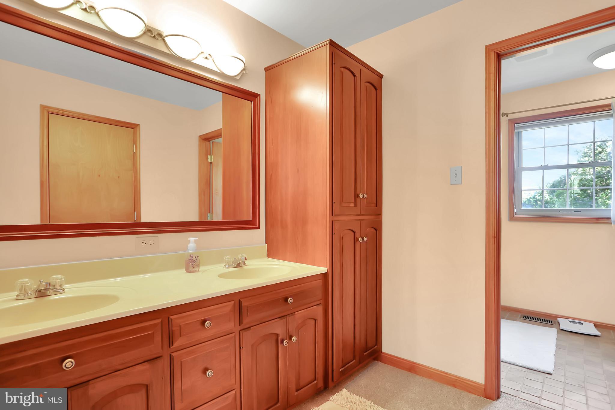 16602 Kendle Road Williamsport, MD 21795 - Photo 31 of 87 Main level master bathroom