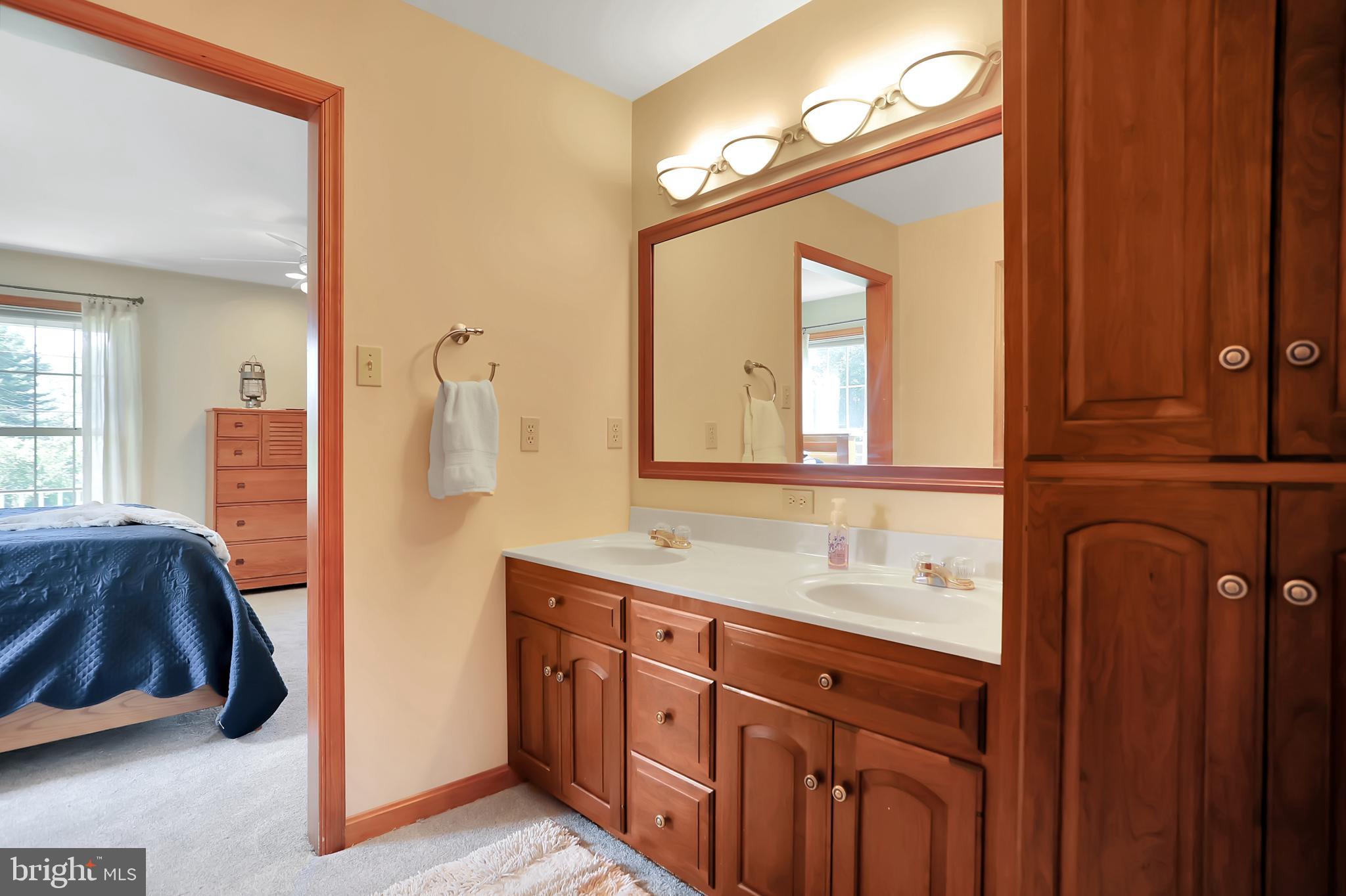 16602 Kendle Road Williamsport, MD 21795 - Photo 32 of 87 Master bathroom
