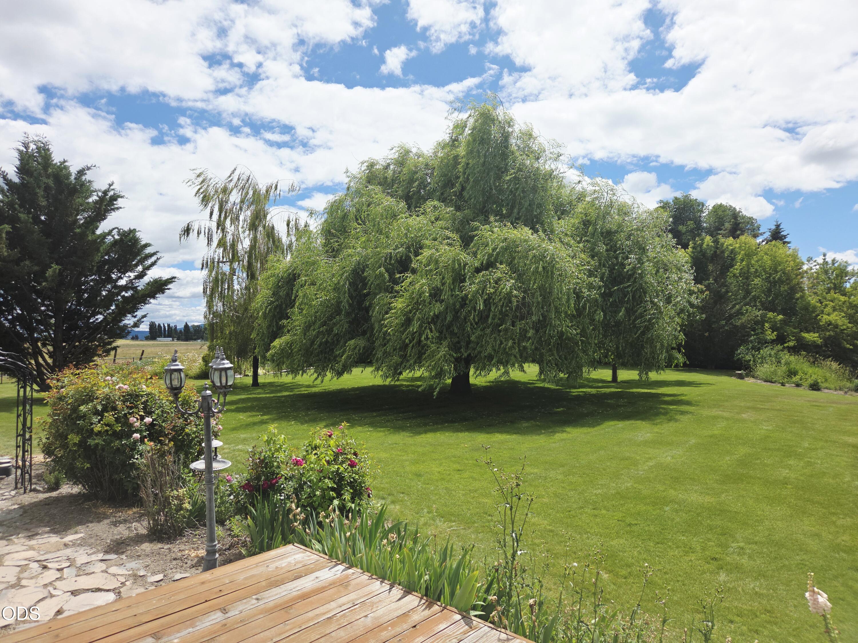 32928 Rivers Drive Chiloquin, OR 97624 - Photo 15 of 64 a view of a yard with an outdoor space