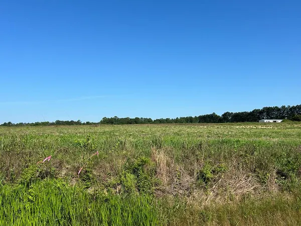$299,900 | 40.522-ac Cecil Varnum Road, Dothan, AL 36301