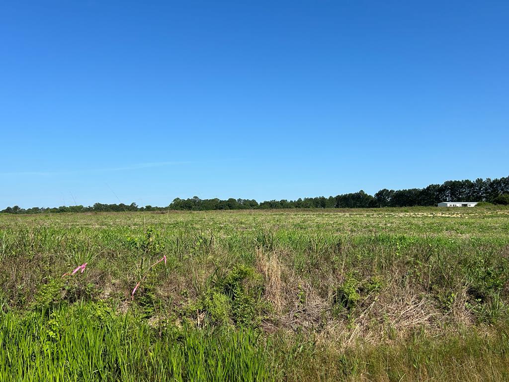 40.522-ac Cecil Varnum Road Dothan, AL 36301 - Photo 1 of 38