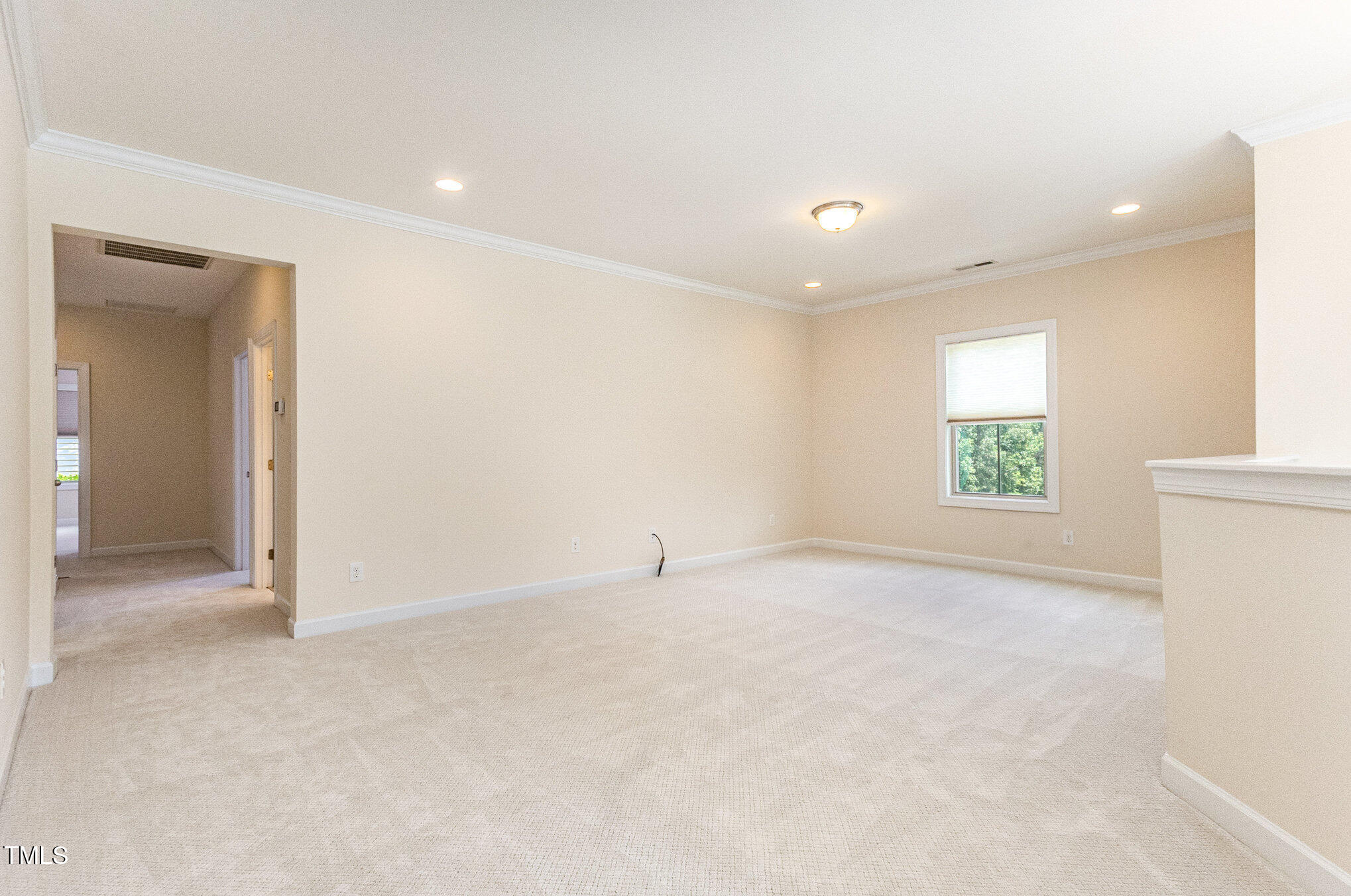 316 Matilda Place Cary, NC 27513 - Photo 36 of 69 an empty room with windows and natural light