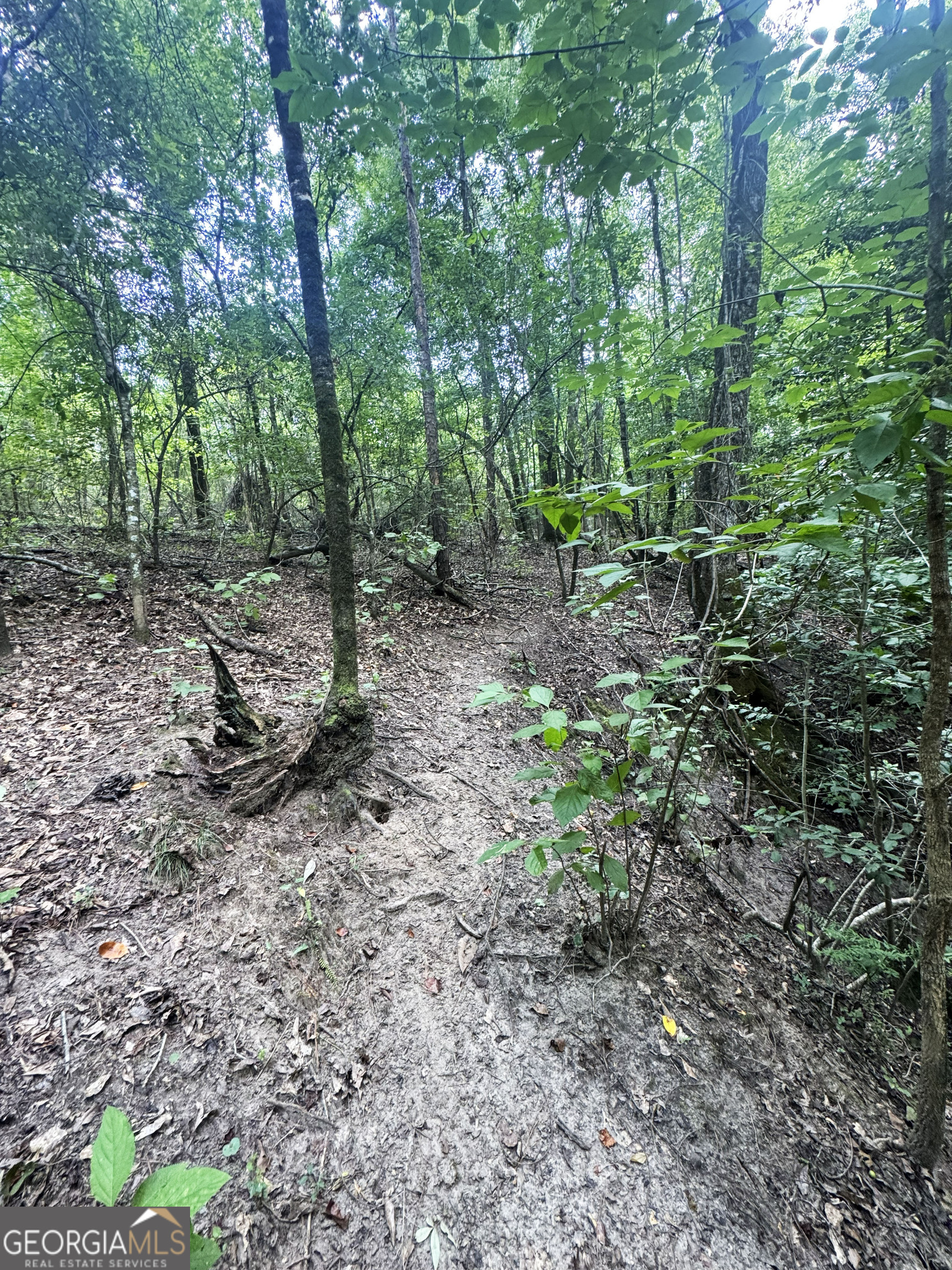 Tbd Tbd Wooten Road Cuthbert, GA 39840 - Photo 35 of 71