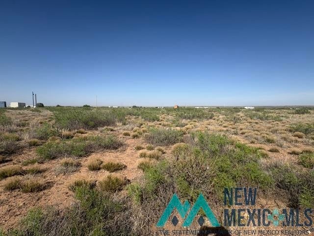 48 State Road 203 Fort Sumner, NM 88119 - Photo 10 of 17 Gallery Image 10