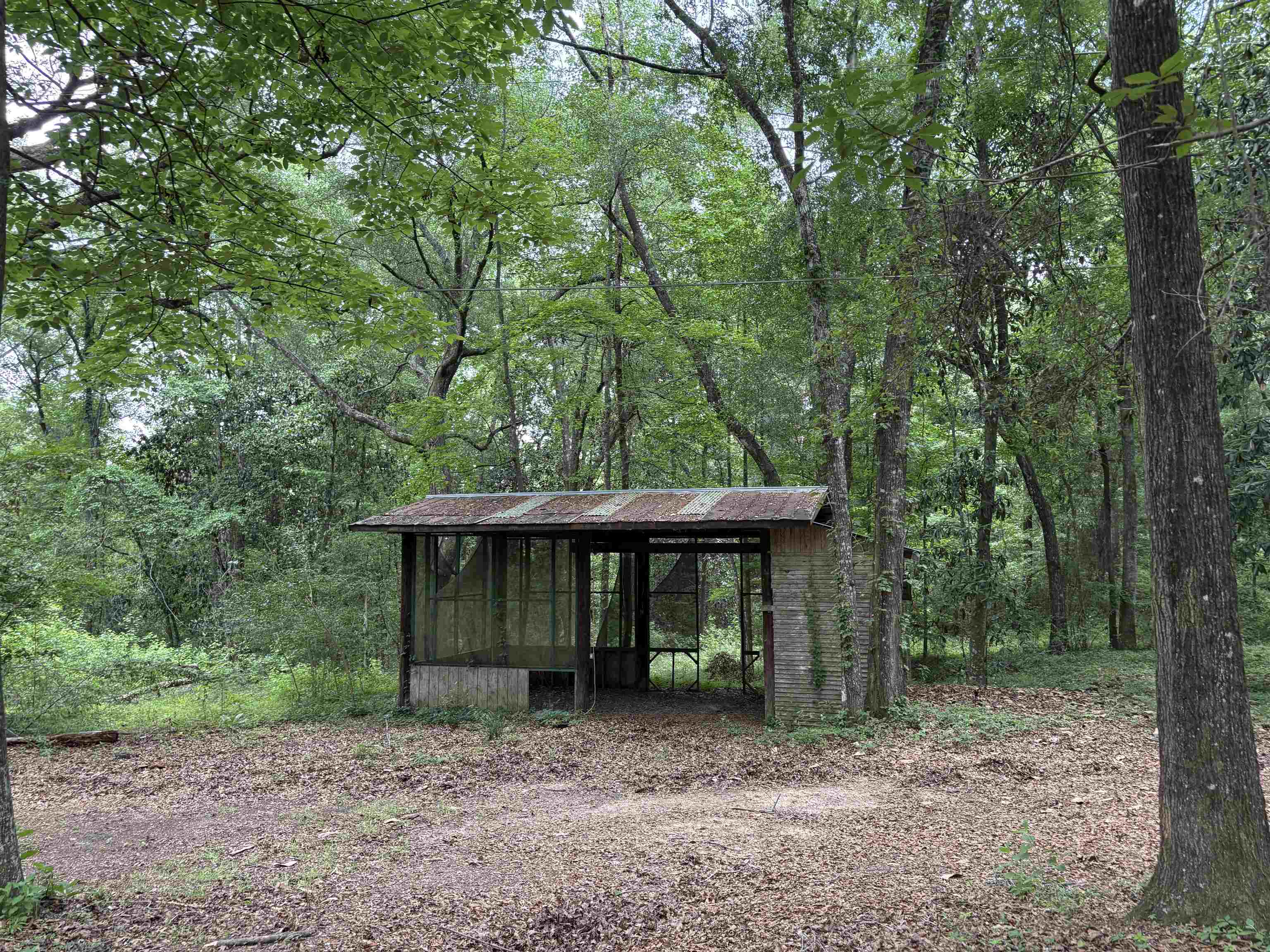 3809 Highbridge Road Quincy, FL 32351 - Photo 6 of 15