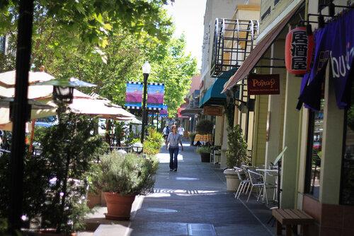 970 Gest Drive Mountain View, CA 94040 - Photo 49 of 53