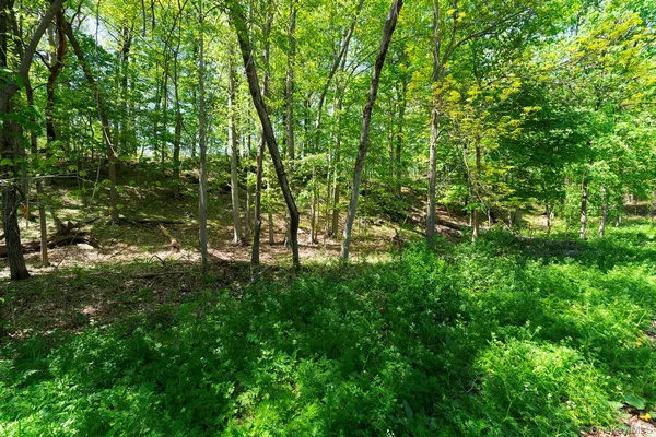 $1,500 | 21 Van Dam Road, Hyde Park, NY 12538