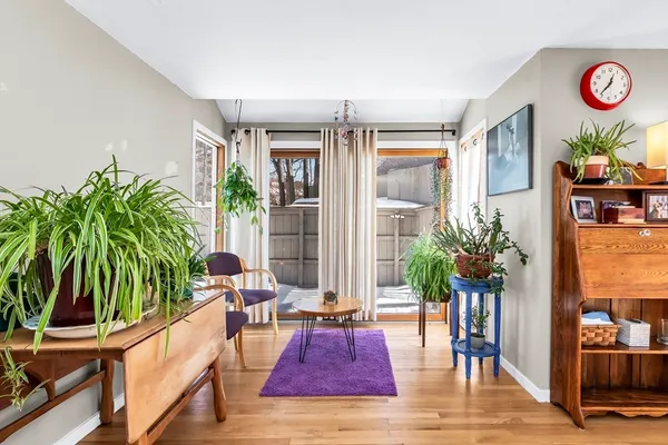 a living room with furniture and a potted plant