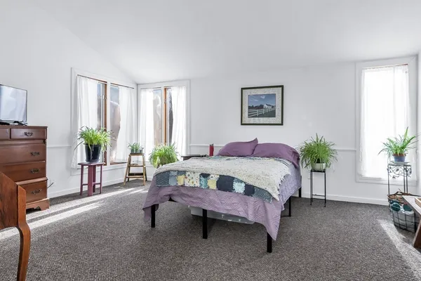 a spacious bedroom with a bed and a potted plant