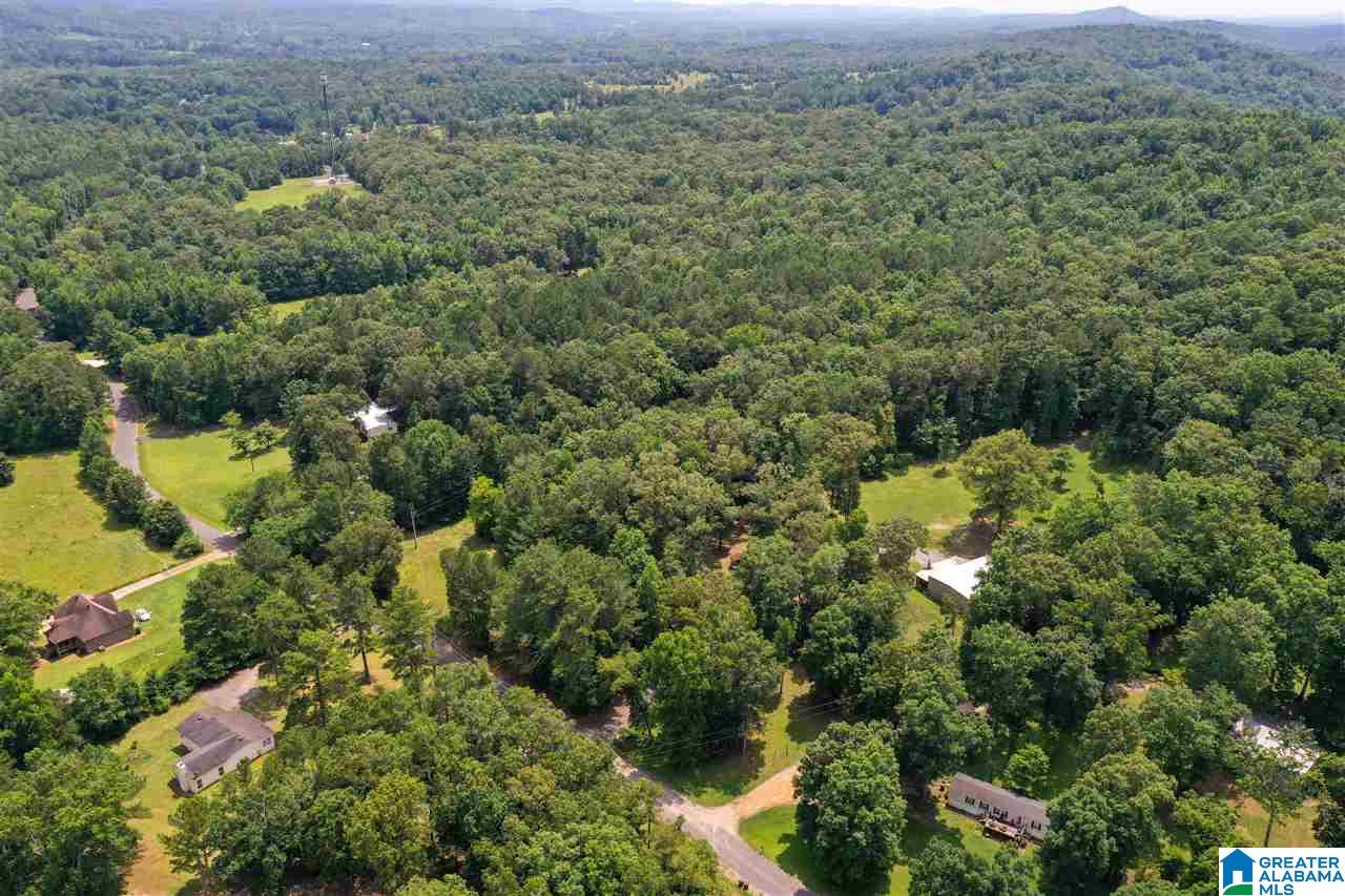925 George Crowe Road Odenville, AL 35120 - Photo 48 of 50