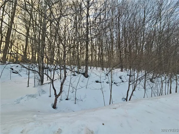 $49,000 | Dublin Terrace Road, Salamanca, NY 14779