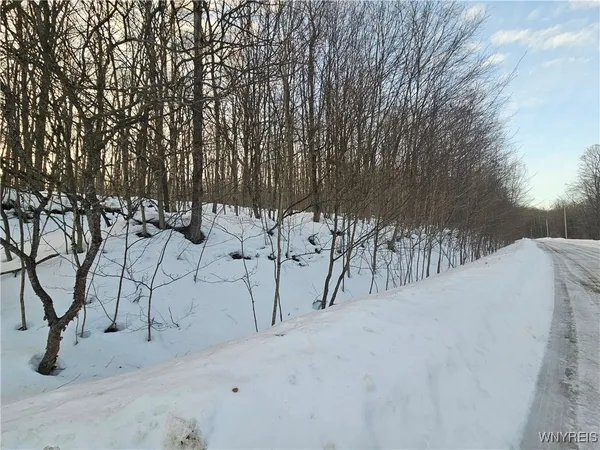 $49,000 | Dublin Terrace Road, Salamanca, NY 14779