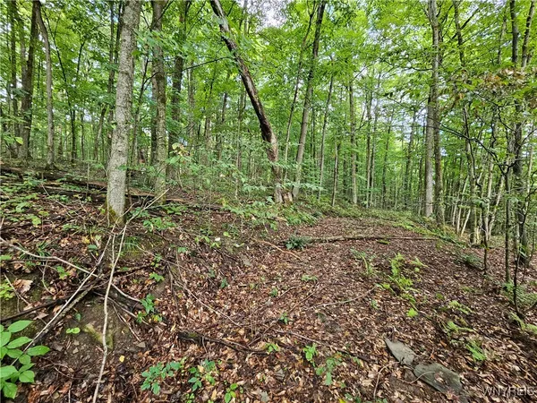 $49,000 | Dublin Terrace Road, Salamanca, NY 14779