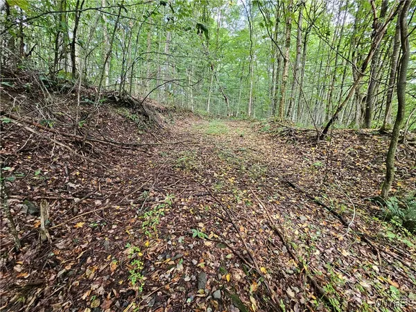 $49,000 | Dublin Terrace Road, Salamanca, NY 14779