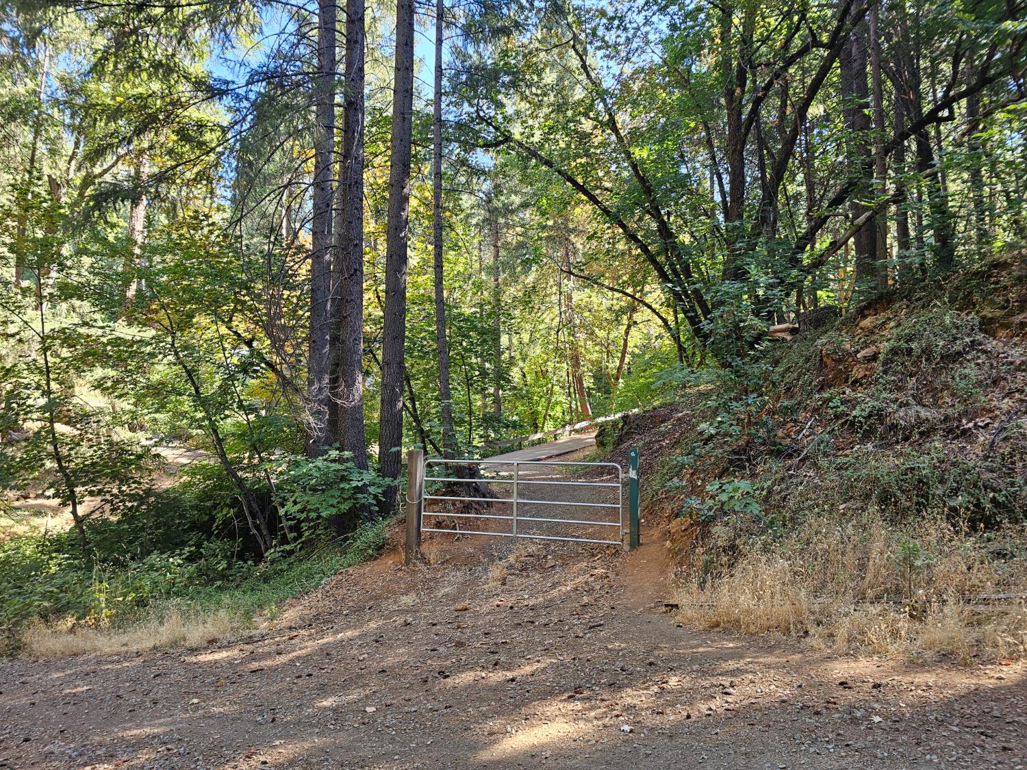 10680 Success Cross Road Nevada City, CA 95959 - Photo 11 of 22 a view of outdoor space and yard