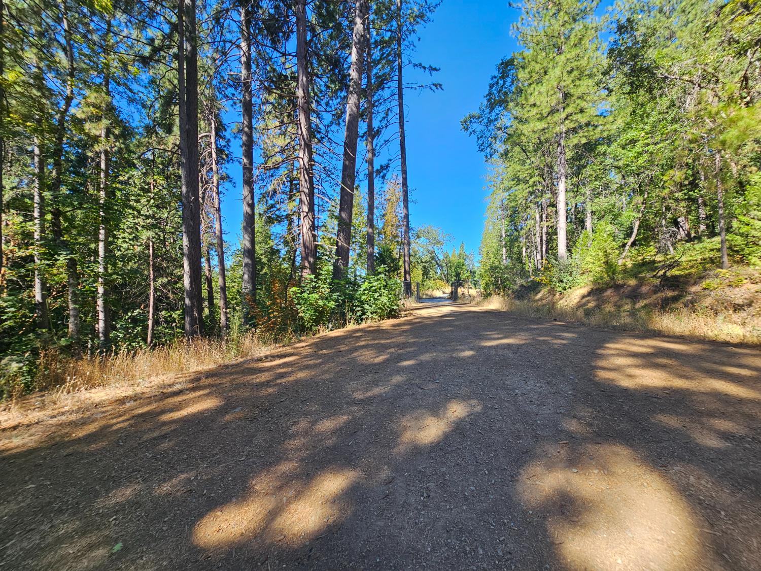 10680 Success Cross Road Nevada City, CA 95959 - Photo 13 of 22 a view of a street with a building in the background