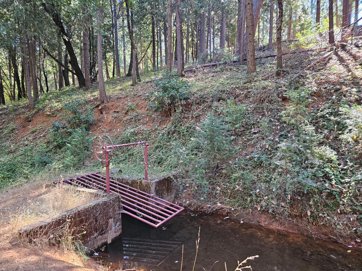 10680 Success Cross Road Nevada City, CA 95959 - Photo 15 of 22 a view of outdoor space and yard