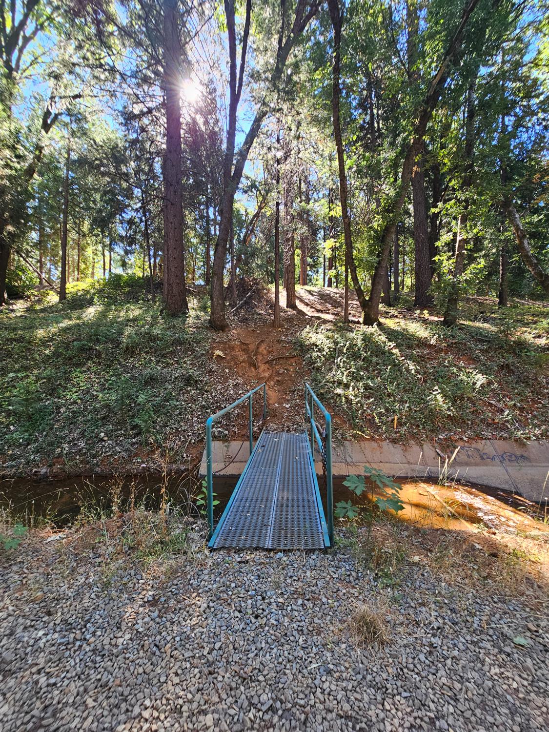 10680 Success Cross Road Nevada City, CA 95959 - Photo 17 of 22 a view of backyard with tree